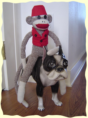 Sock Monkey Fun! Monkeys in the Wild